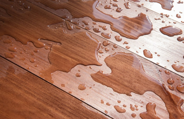 Lựa chọn ván sàn chất lượng sẽ giúp sàn nhà của bạn chịu được độ ẩm và tránh được hiện tượng ngấm nước.