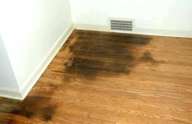 Sàn nhà bị ngấm nước làm giảm chất lượng nền sàn hoặc thậm chí phải thay mới.